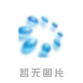 电动压力测试泵